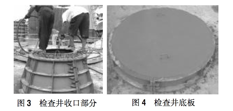 �z�龮�տڲ���